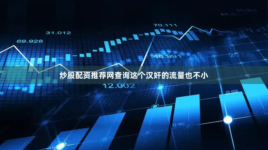 炒股配资推荐网查询这个汉奸的流量也不小