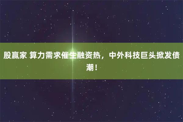 股赢家 算力需求催生融资热,中外科技巨头掀发债潮!