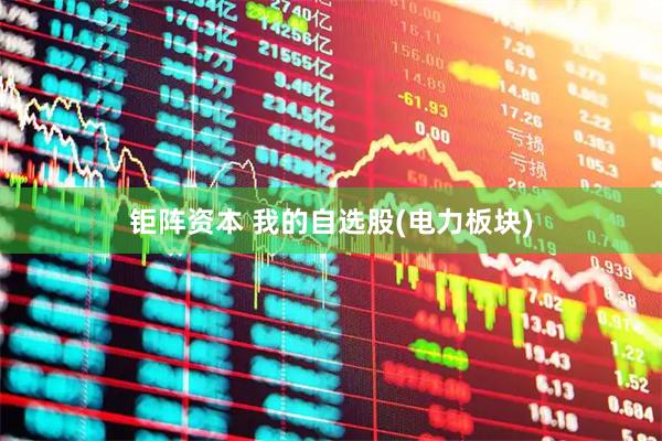 钜阵资本 我的自选股(电力板块)